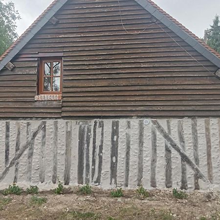卢瓦尔河谷特鲁塞城堡住宿加早餐旅馆 舍维尼 外观 照片