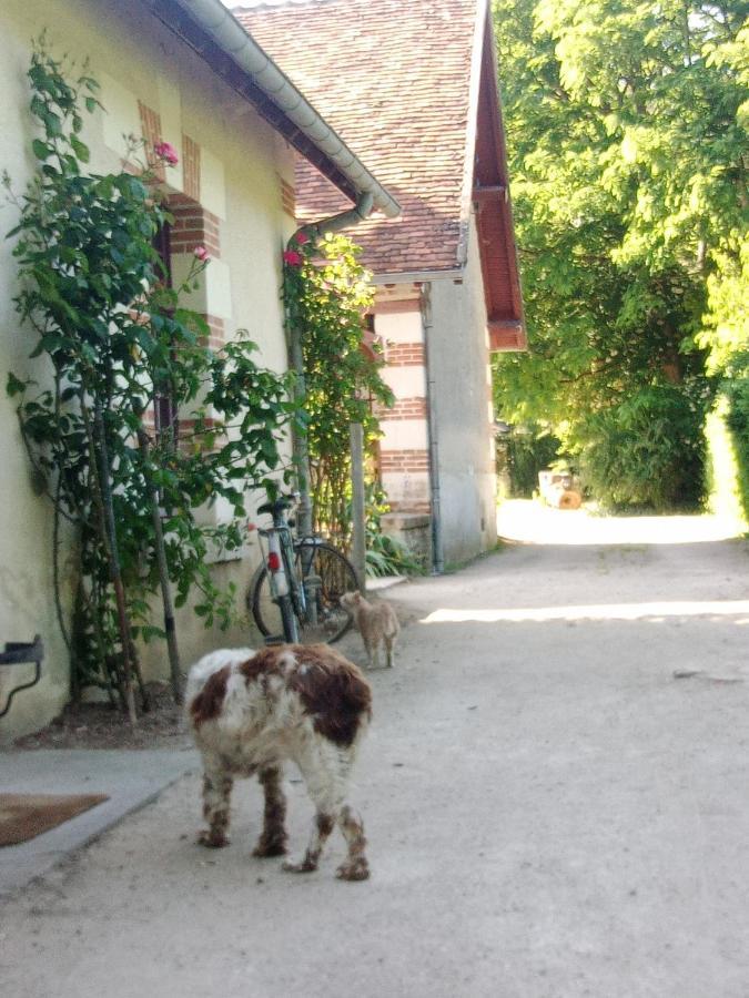 卢瓦尔河谷特鲁塞城堡住宿加早餐旅馆 舍维尼 外观 照片
