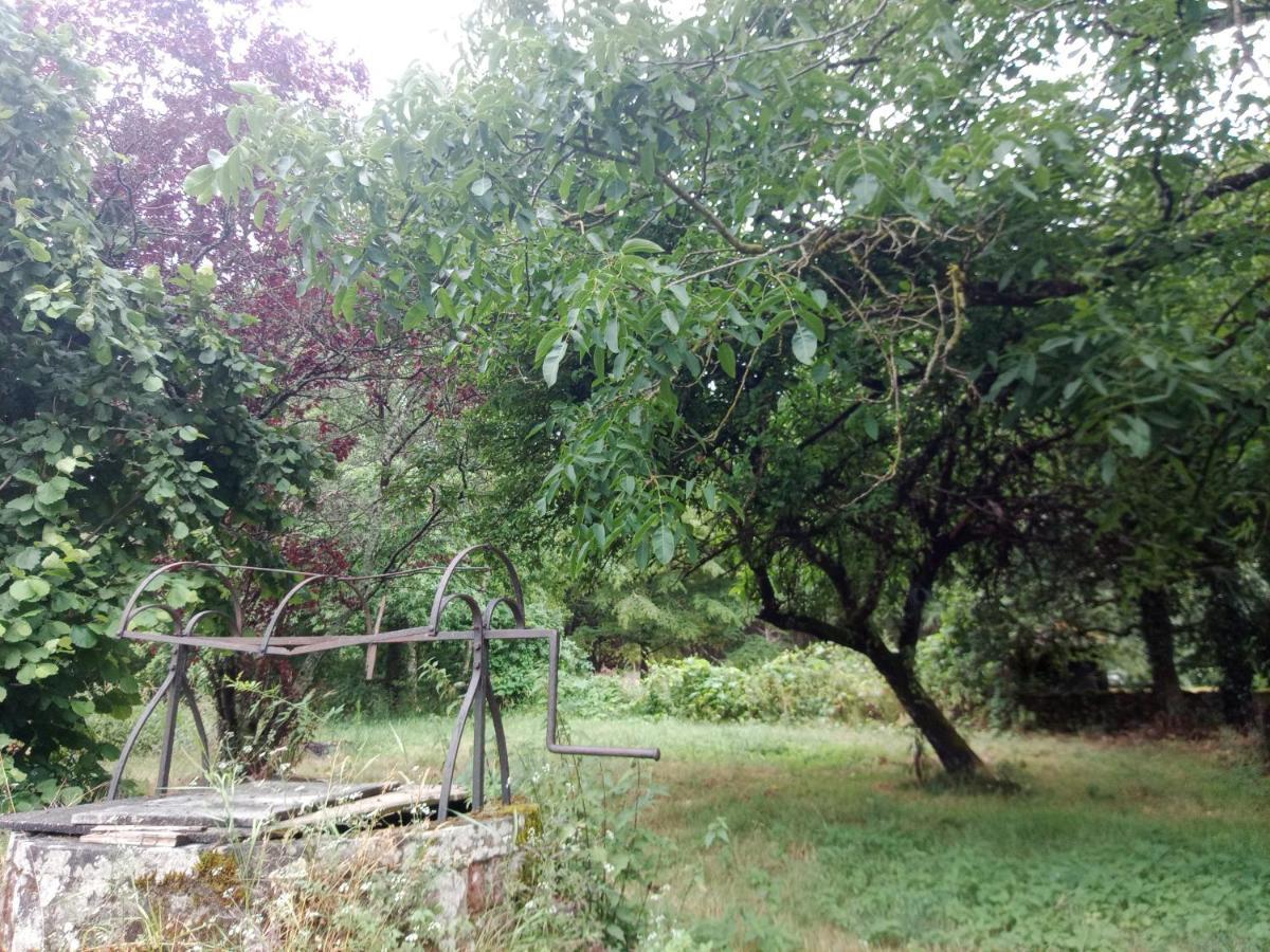 卢瓦尔河谷特鲁塞城堡住宿加早餐旅馆 舍维尼 外观 照片