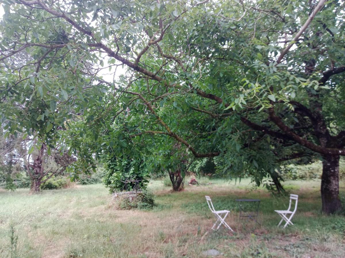 卢瓦尔河谷特鲁塞城堡住宿加早餐旅馆 舍维尼 外观 照片